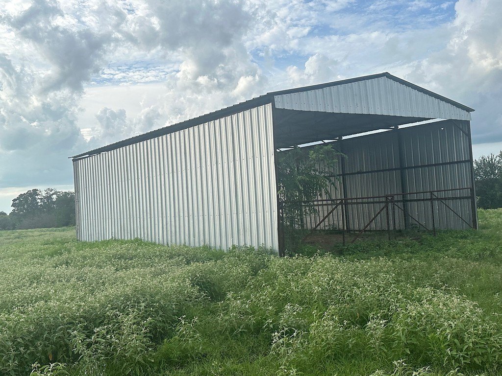 Picture 5