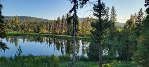 LAND - Seeley Lake, MT
