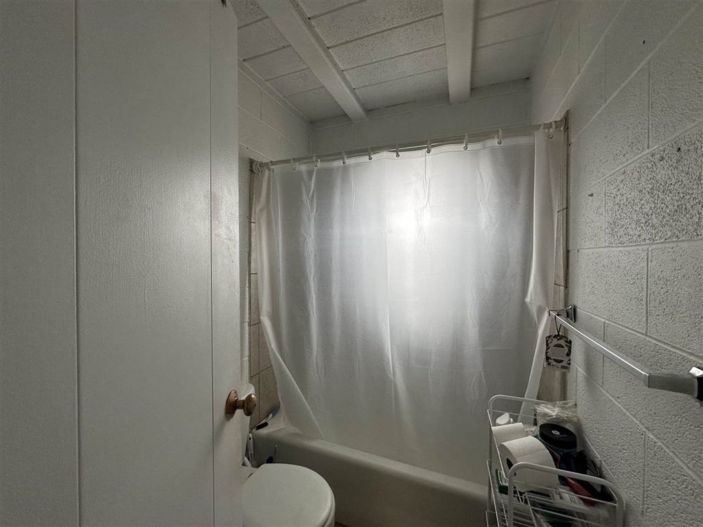 Picture 41