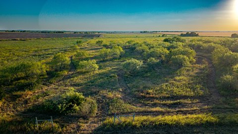 LAND - Avalon, TX
