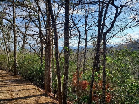 Franklin, NC Wooded Lot