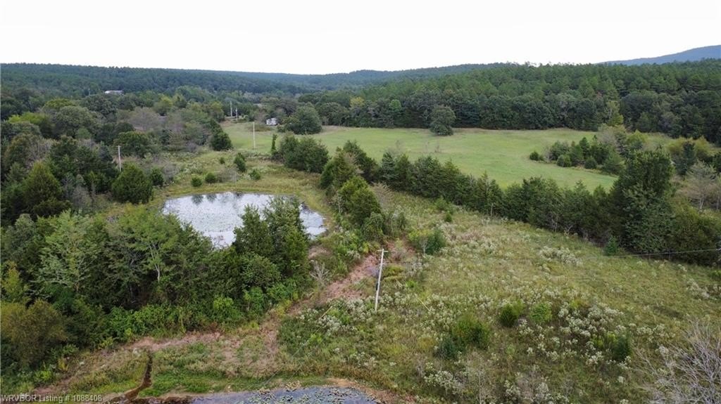 39.5 Acres Bordering National Forest