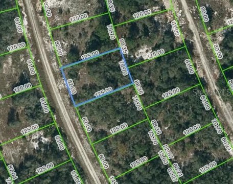 Residential Land in Lake Placid