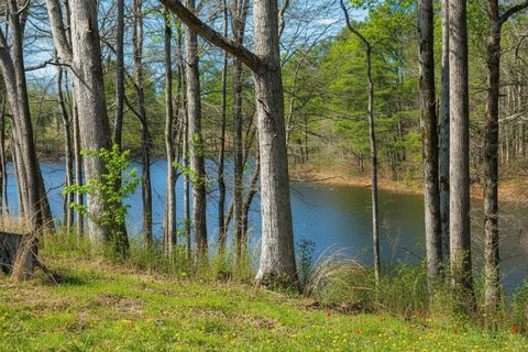 Unrestricted Land Near Medical Center