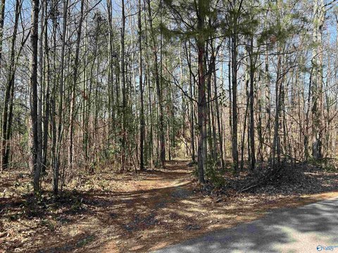 Residential Lot in Southside, AL
