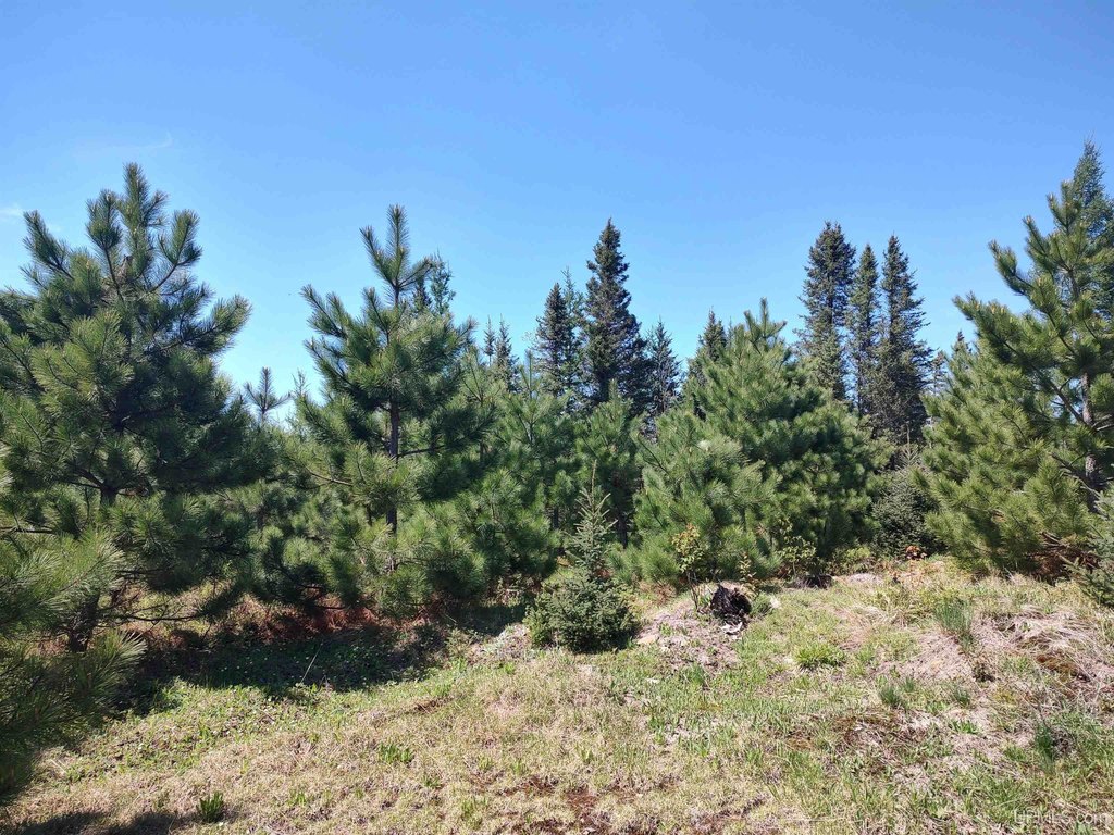 Picture 25