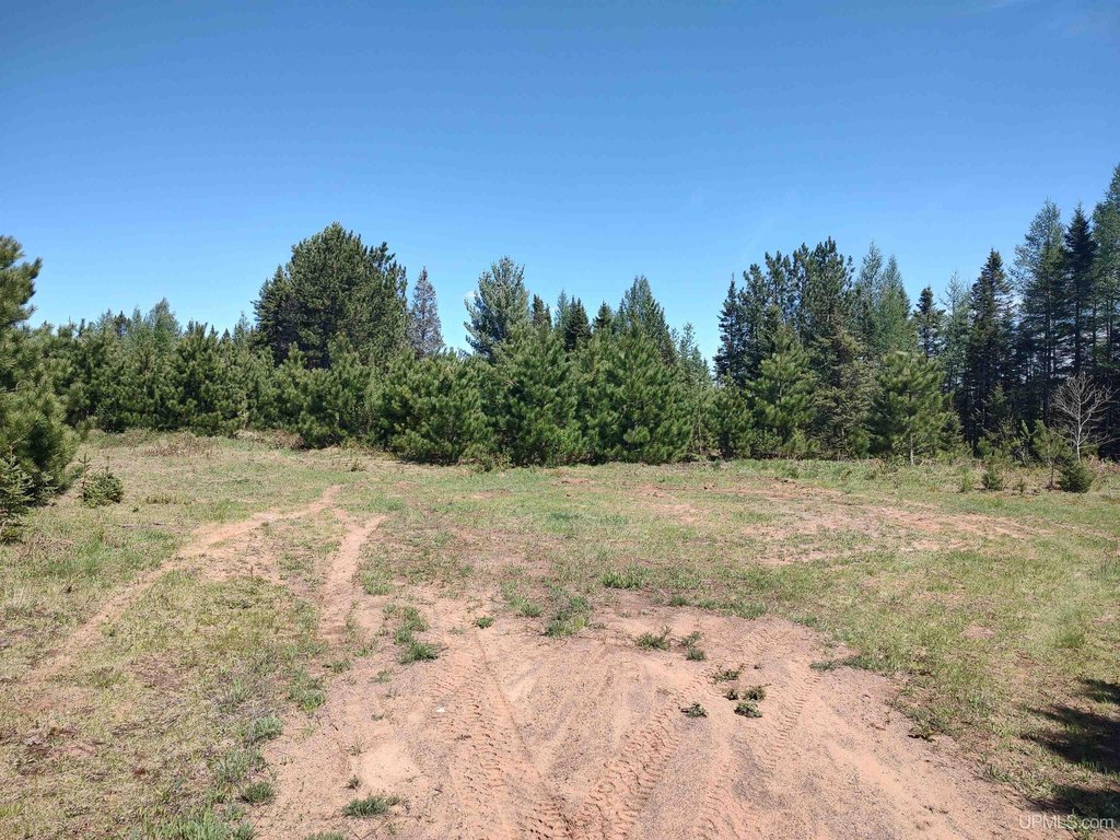 Picture 19