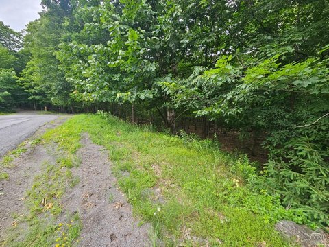 Catskill Mountain Land For Sale