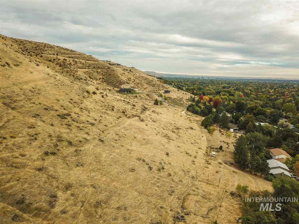 Picture 18