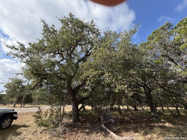 Picture 18
