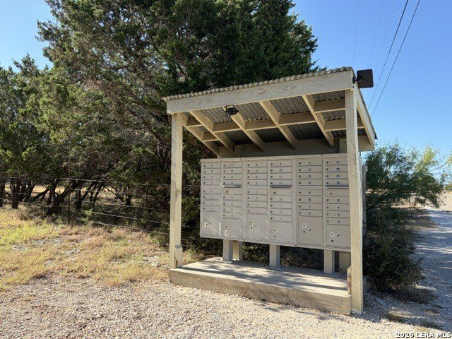 Picture 20