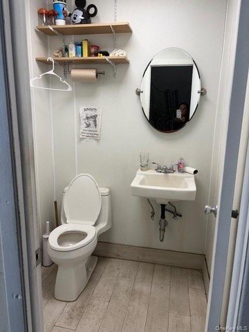 Picture 6