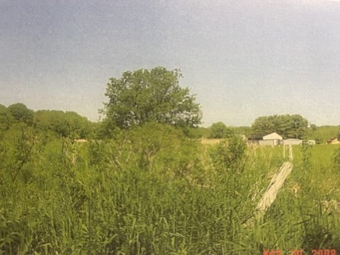 Rehoboth Farmland and Woodland
