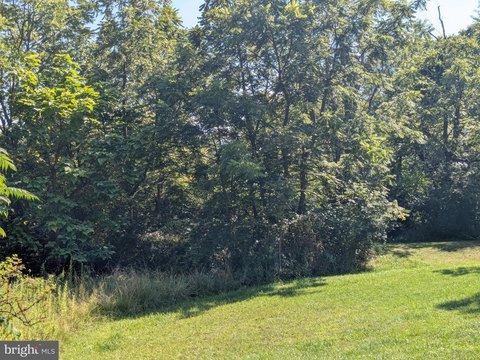 Land For Sale in Frostburg