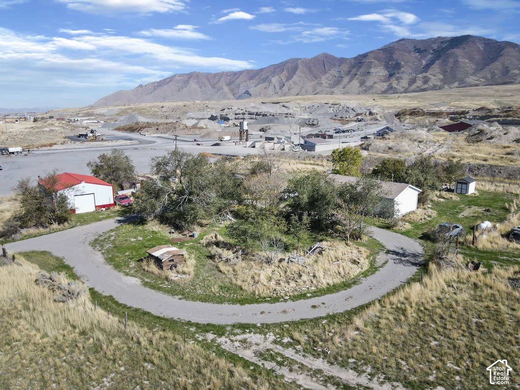 Picture 5