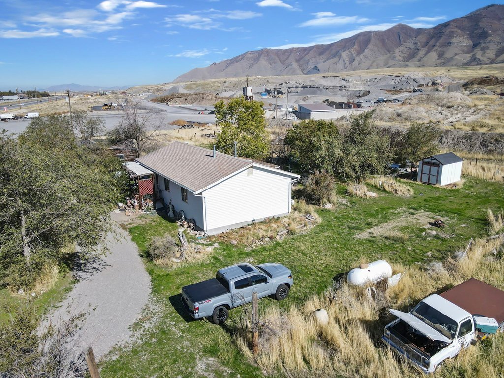 Picture 8