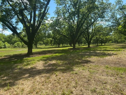 Farmland Parcel with Road Frontage