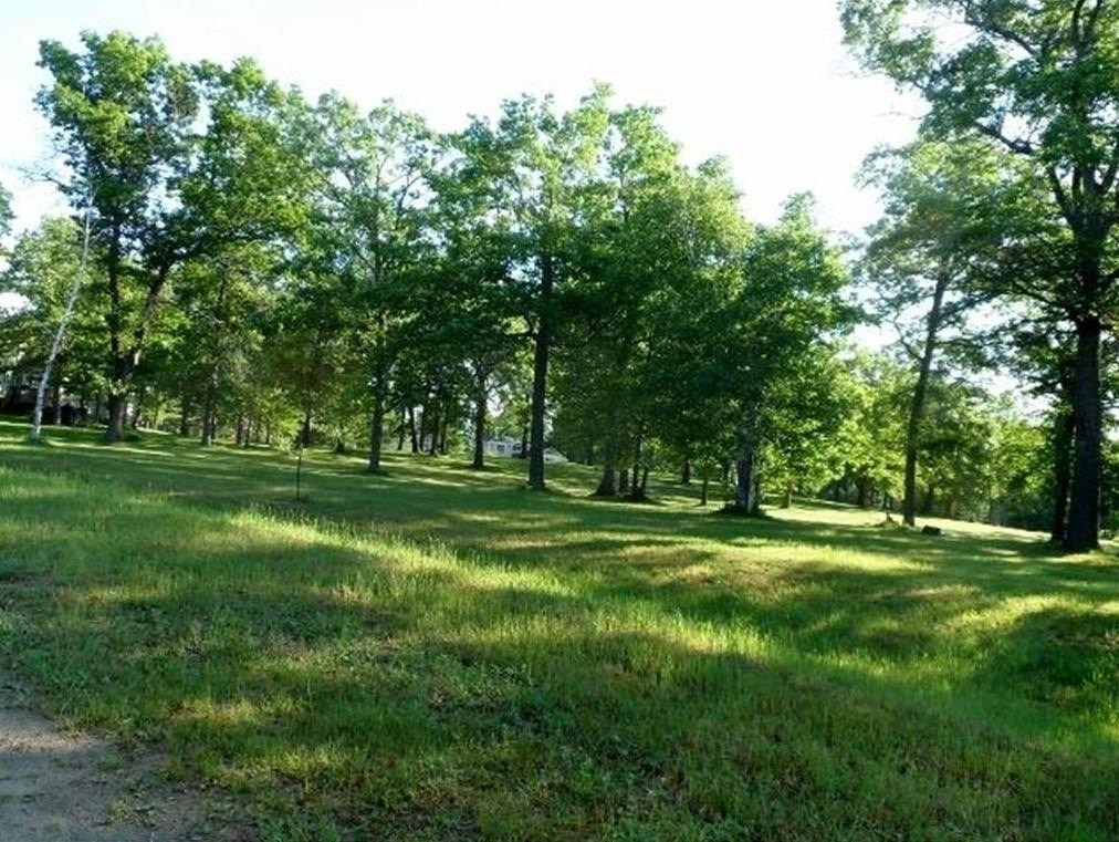 Picture 11