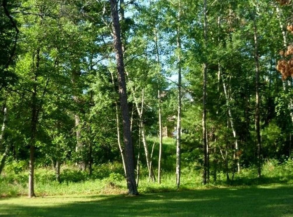 Picture 17