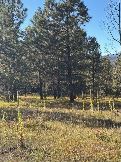 Land Near Pecos River