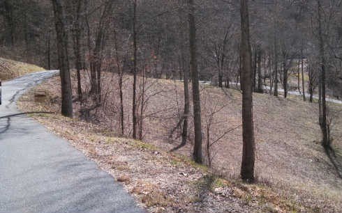 Picture 3