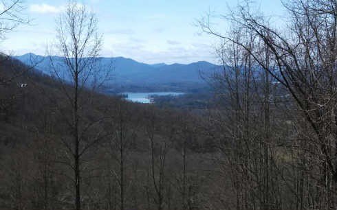 Picture 2