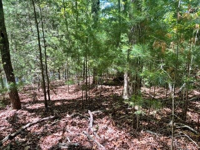 Blairsville Vacant Lot with Septic