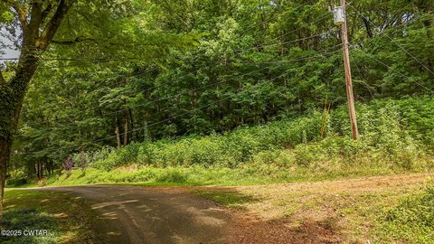 Wooded Lot Near Boat Ramp