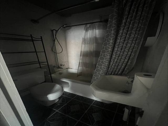Picture 28