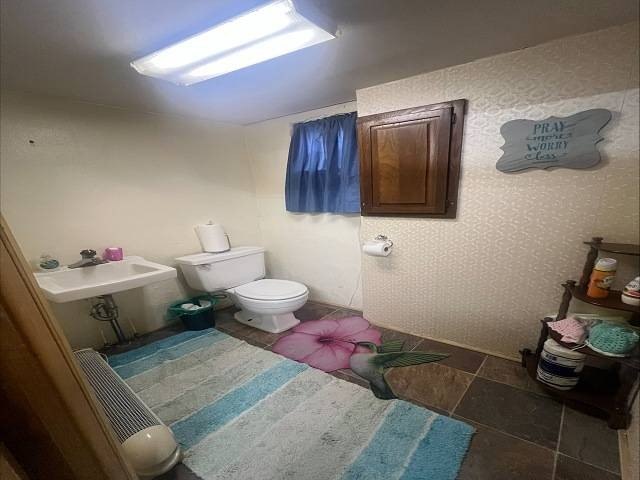 Picture 5