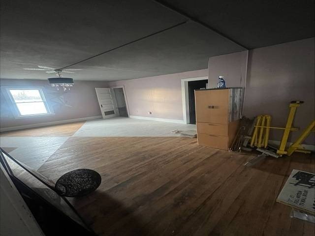 Picture 21