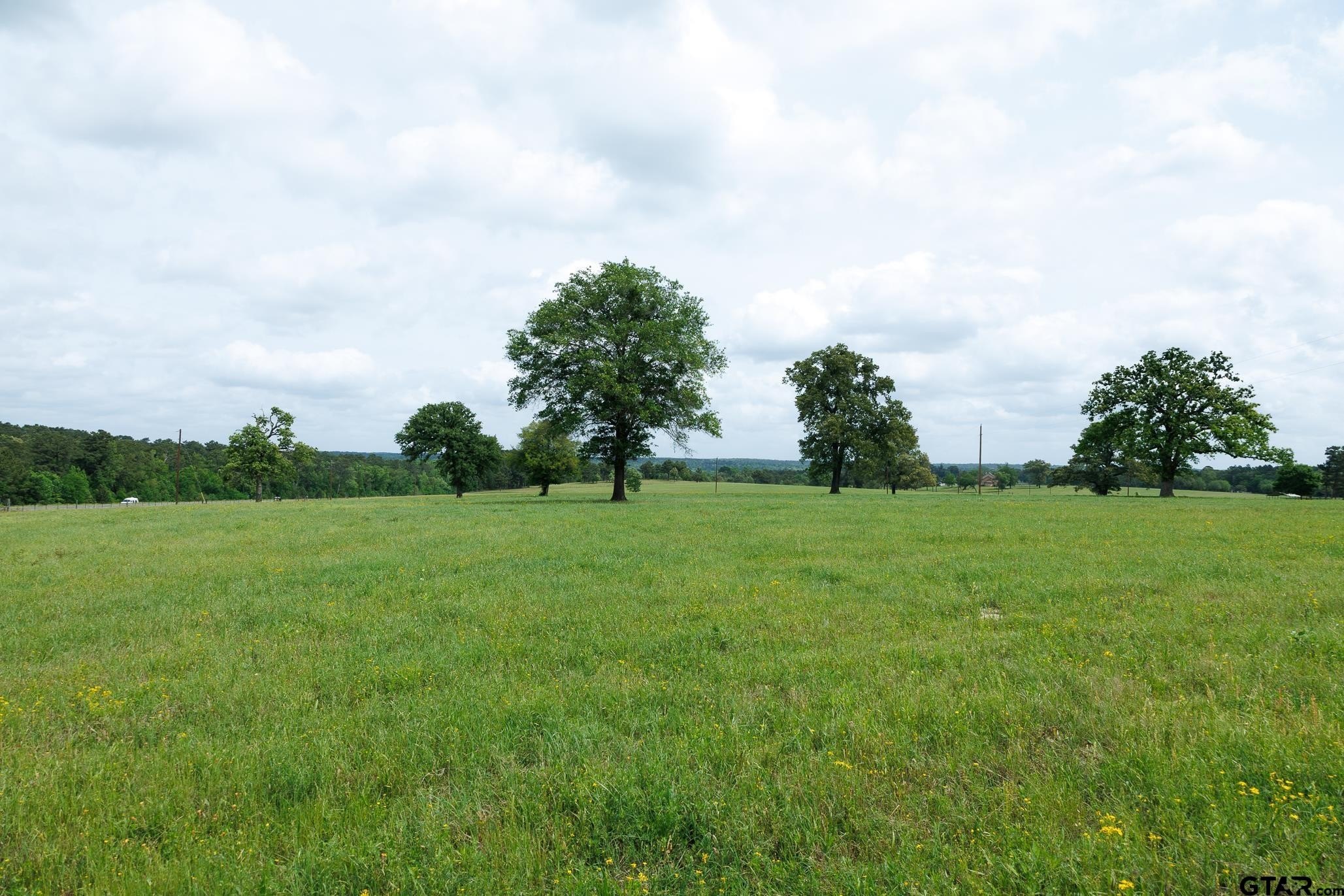 41 Acres in Pert, Texas