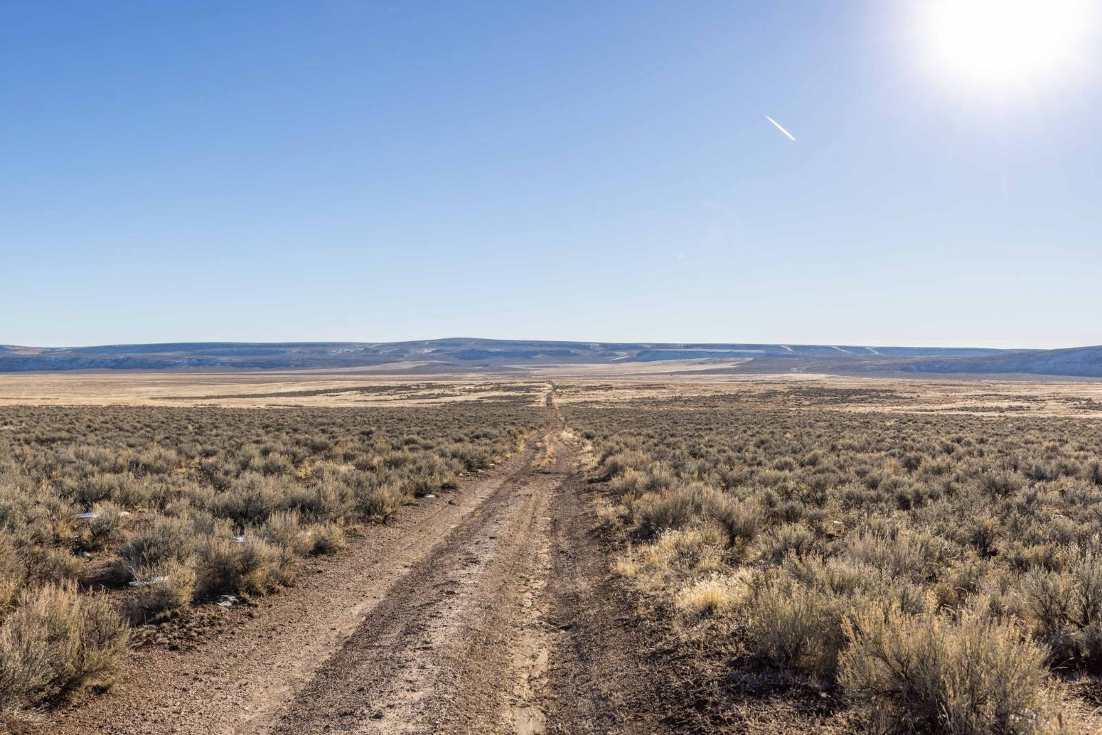 20 Acres of Vacant Land