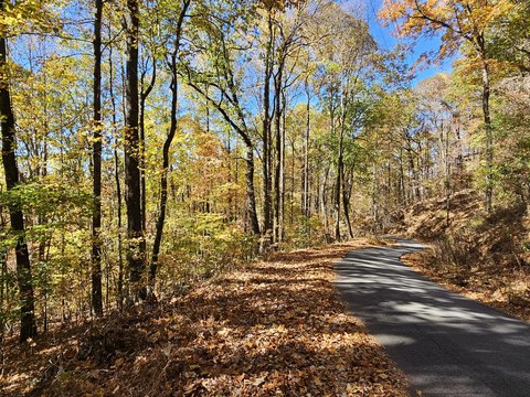 LAND - Clayton, GA