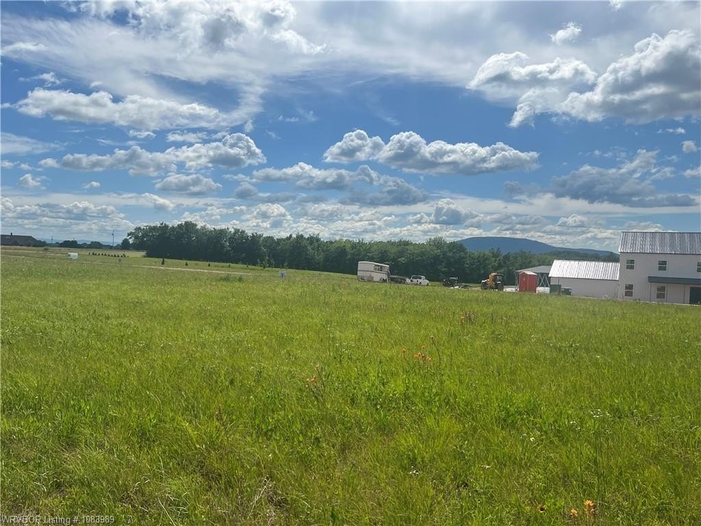 Picture 12