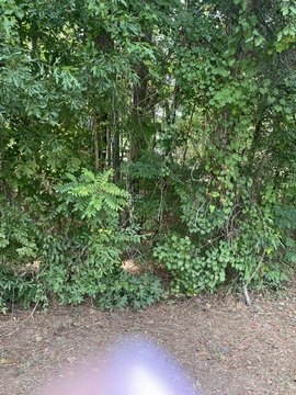 Land, Eatonton, GA