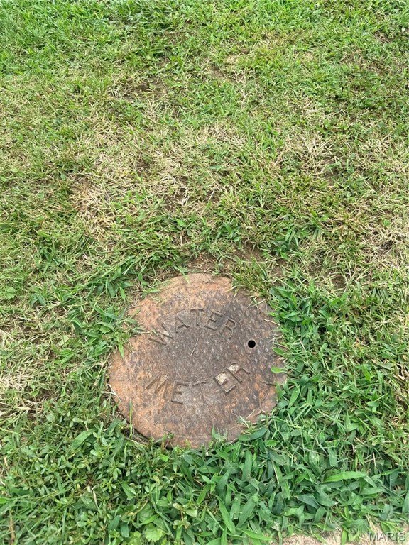 Picture 5