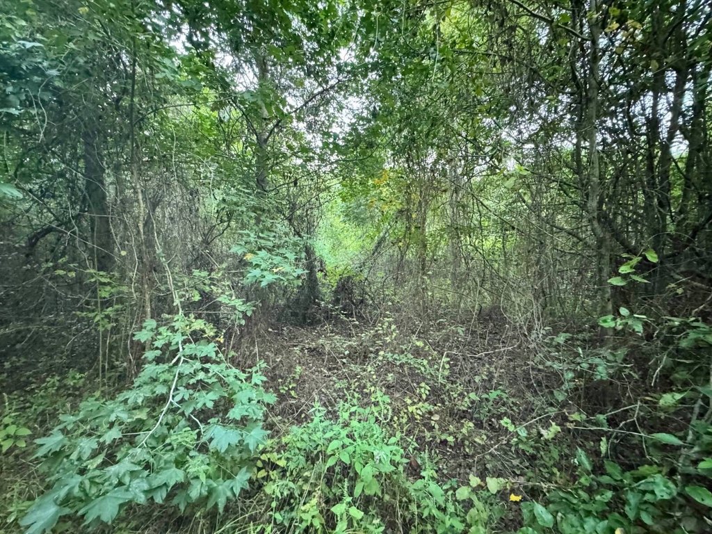 Picture 24