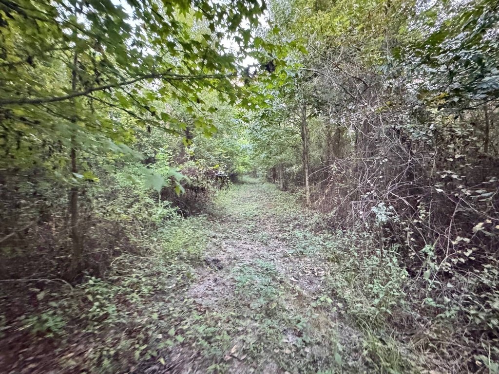 Picture 25