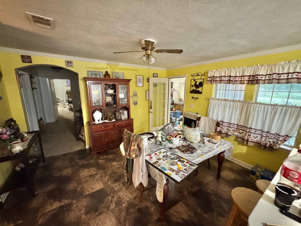 Picture 13