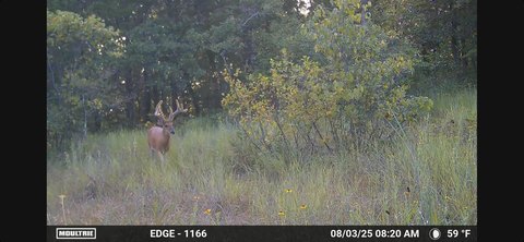 Hunting Land with Wilderness Access