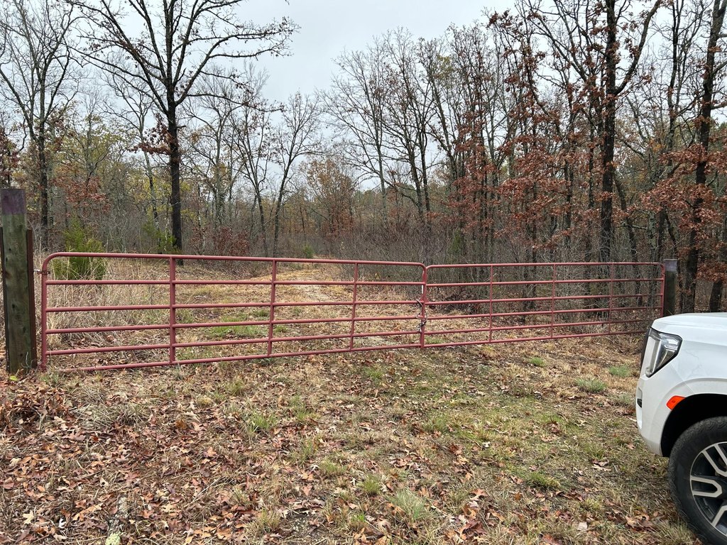 Picture 2