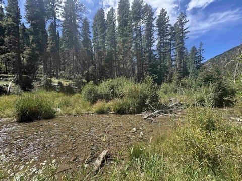 Riverfront Acre in Taos Ski