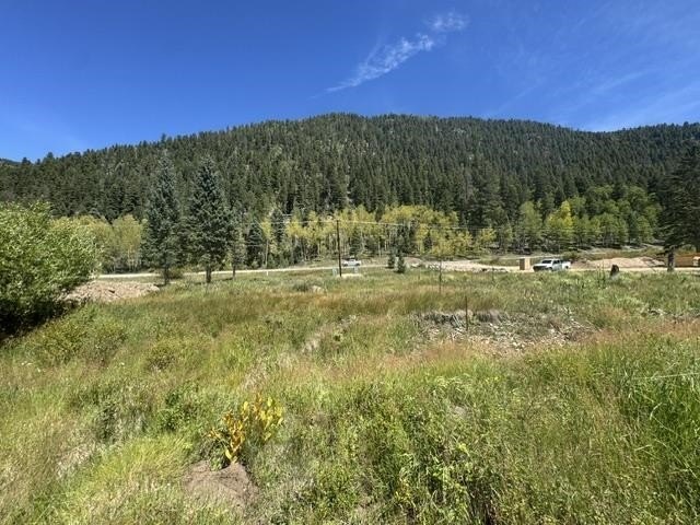Picture 18
