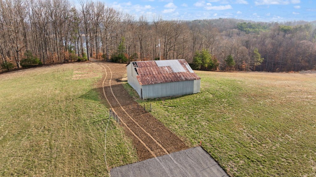 Picture 3