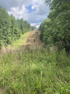 LAND - Spartanburg, SC