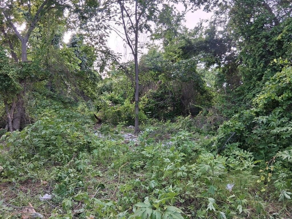 Picture 3
