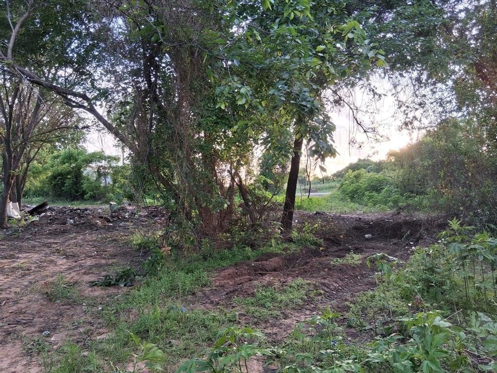 Picture 2