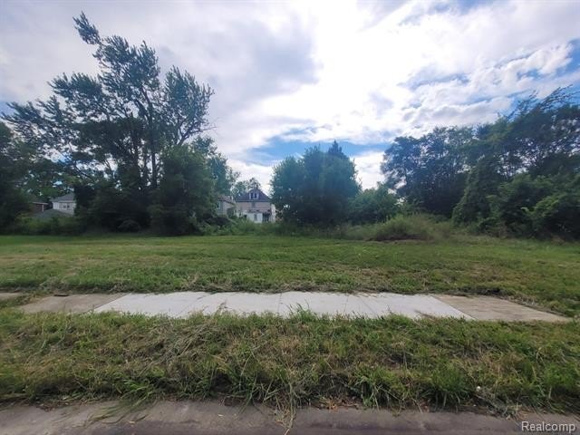Picture 11