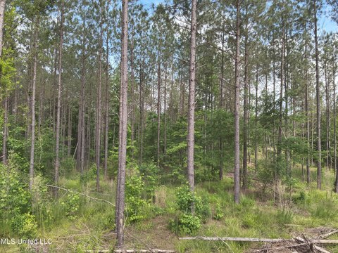 Attala County Land For Sale